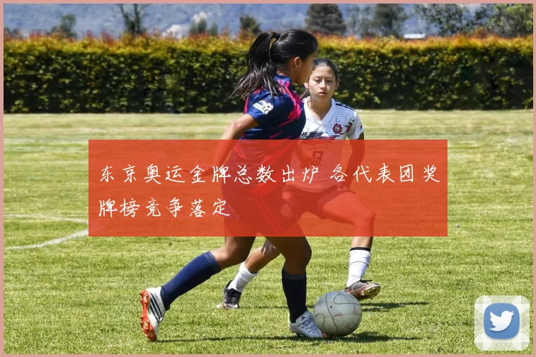 东京奥运金牌总数出炉 各代表团奖牌榜竞争落定