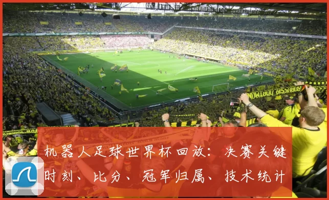 机器人足球世界杯回放：决赛关键时刻、比分、冠军归属、技术统计与战术看点