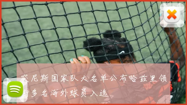 突尼斯国家队大名单公布哈兹里领衔多名海外球员入选