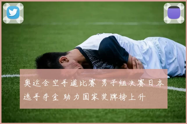 奥运会空手道比赛 男子组决赛日本选手夺金 助力国家奖牌榜上升