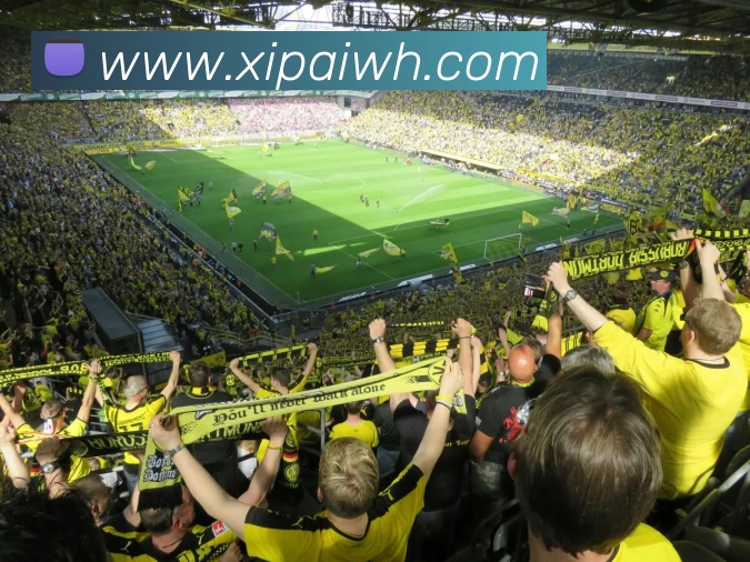 6686在线(中国)唯一官方网站平台生态图