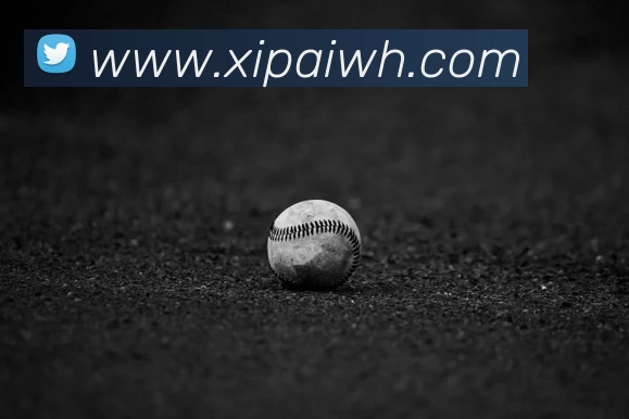 6686在线(中国)唯一官方网站APP 封面图